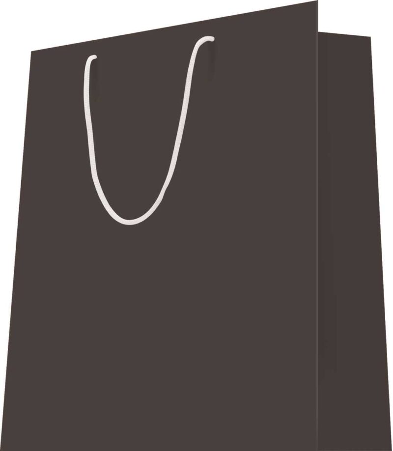 20 Sacs cabas luxe poignées cordelières effet Ardoise L26+P13xH32 180g