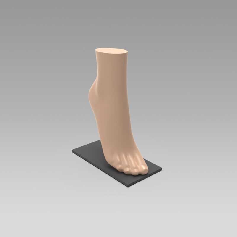 Présentoir Cheville basse Femme Coloris chair