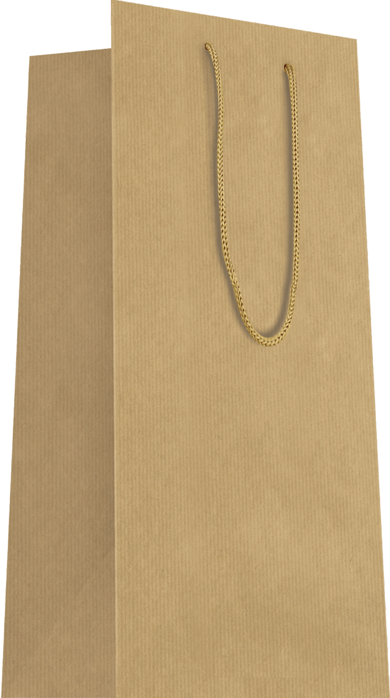 Sac 2 bouteilles Brun L22xP11xH39cm x20