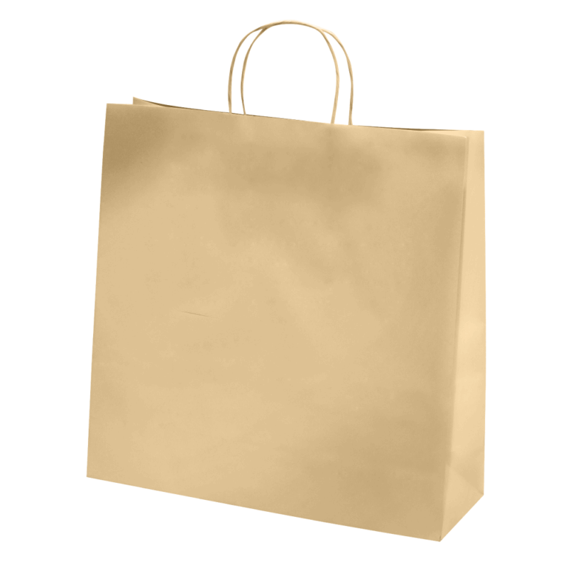 Sac papier kraft Brun L35xP14xH35 cm x50