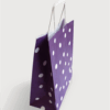 Sac papier kraft pois Aubergine L24xP12xH31 cm x50
