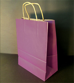 Sac papier kraft Prune L36xP12xH41 cm x50