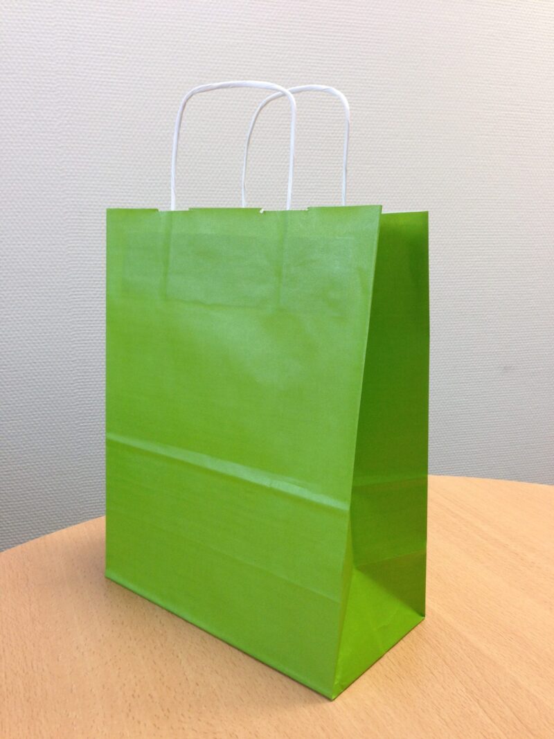 Sac papier kraft Vert L24xP12xH31 cm x50