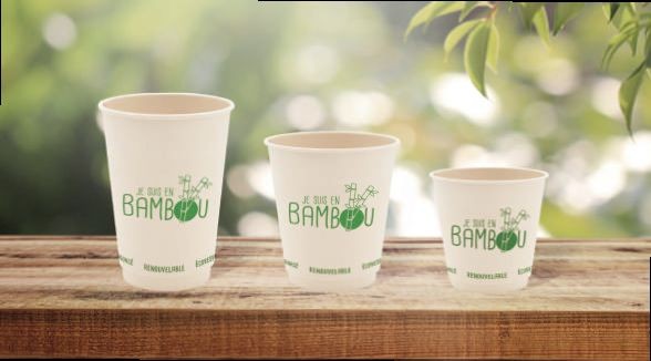 50 Gobelets Bambou blanc