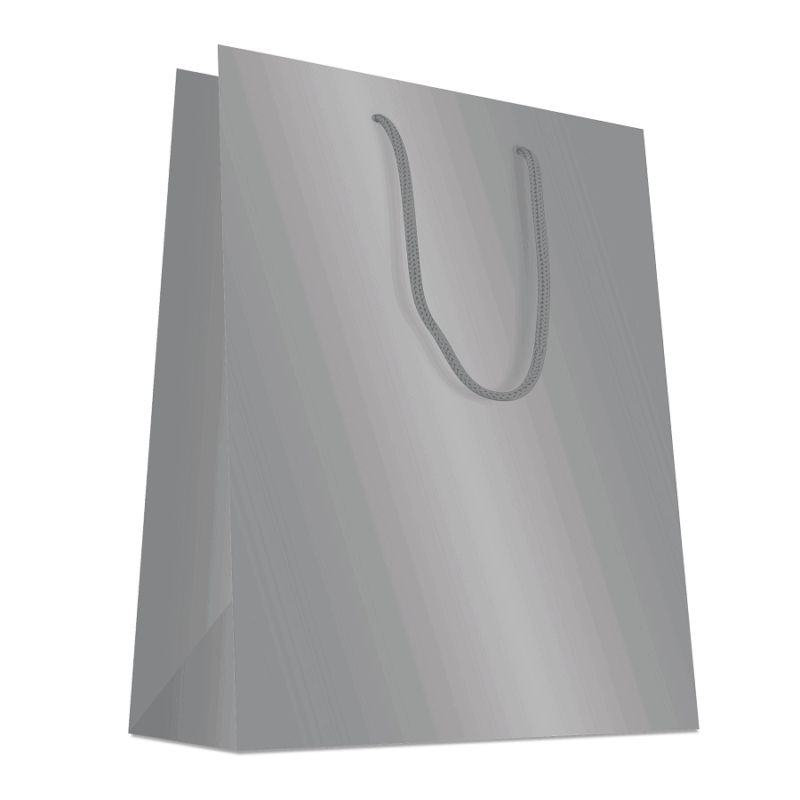 20 Sacs cabas luxe poignées cordelières Argent