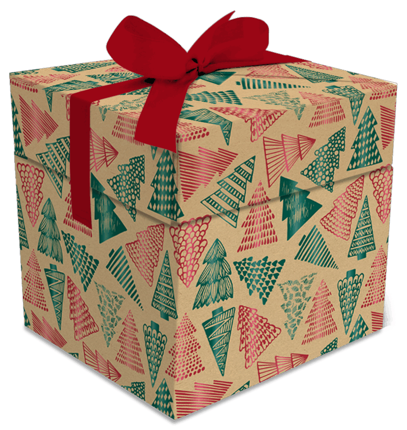 Boîte cadeau Noël sapins kraft x25 – 2 tailles disponibles