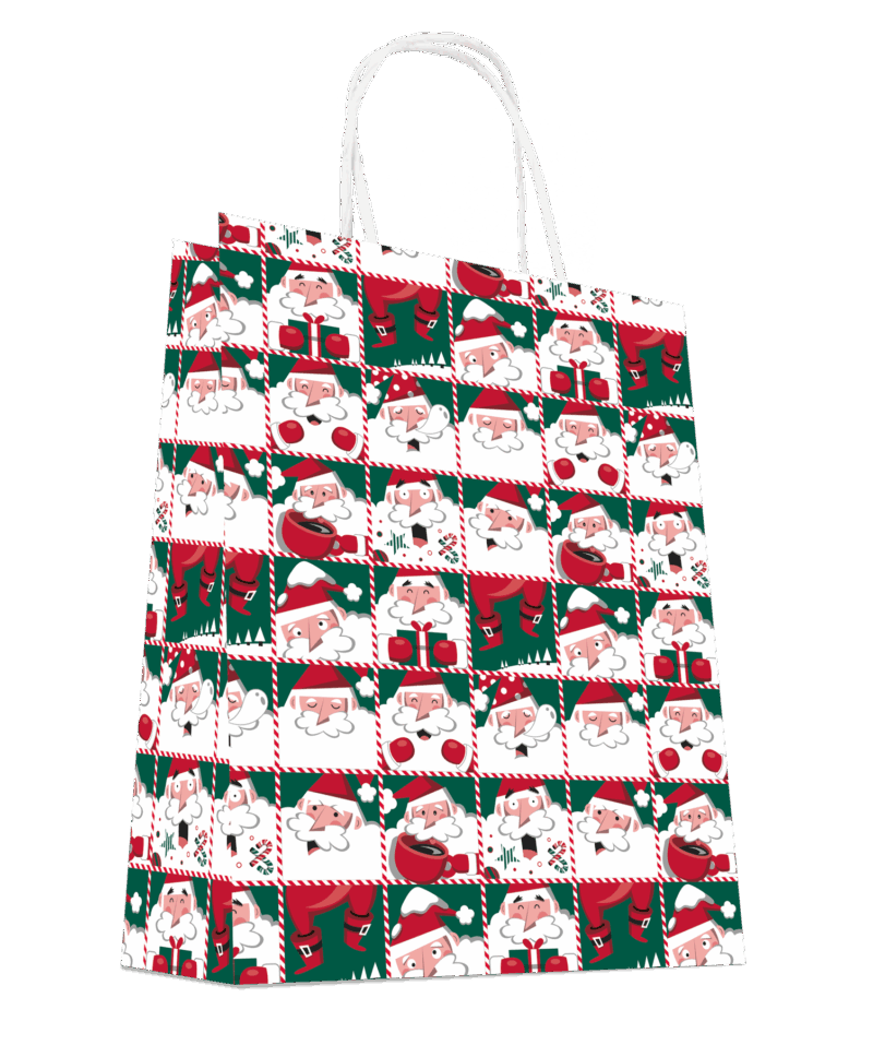 Sacs kraft Noël Père Noël à carreaux rouges et verts x50